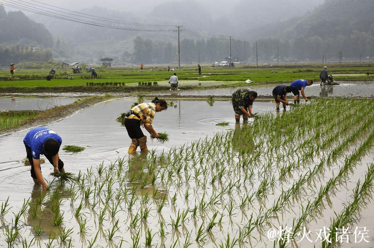 【在希望的田野上】各地抢抓农时有序推进农业生产 【在希望的田野上】各地抢抓农时有序推进农业生产
